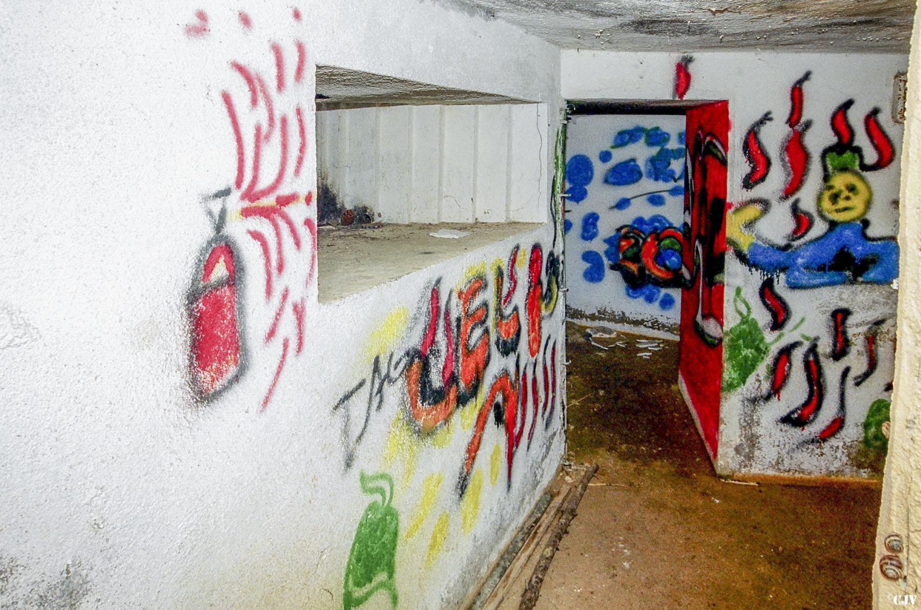 Ligne Maginot - ZIGLIONE - (Casemate d'infanterie - Simple) - Créneau et entrée - Lia VERMEULEN