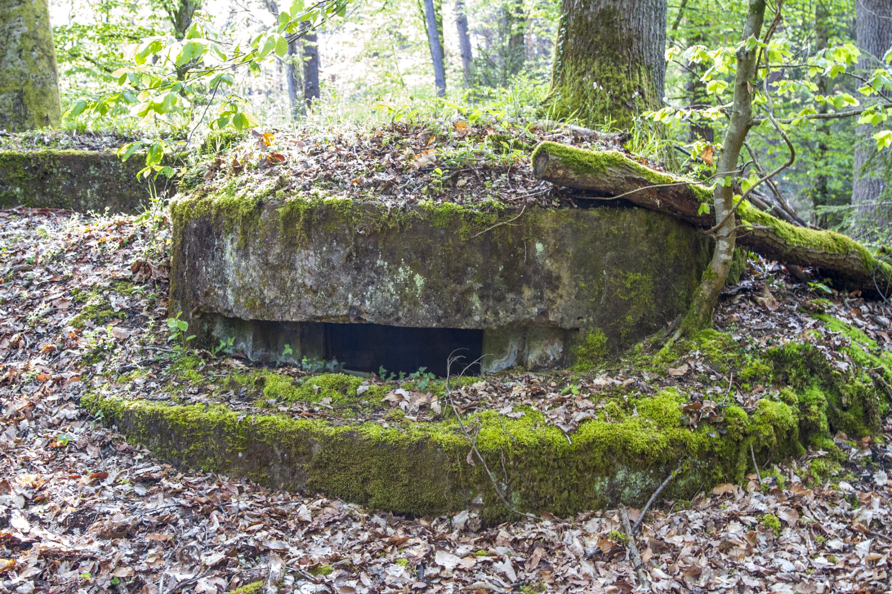 Ligne Maginot - RENDEZ VOUS DE CHASSE 1 - (Blockhaus pour arme infanterie) -  - Michel Teiten