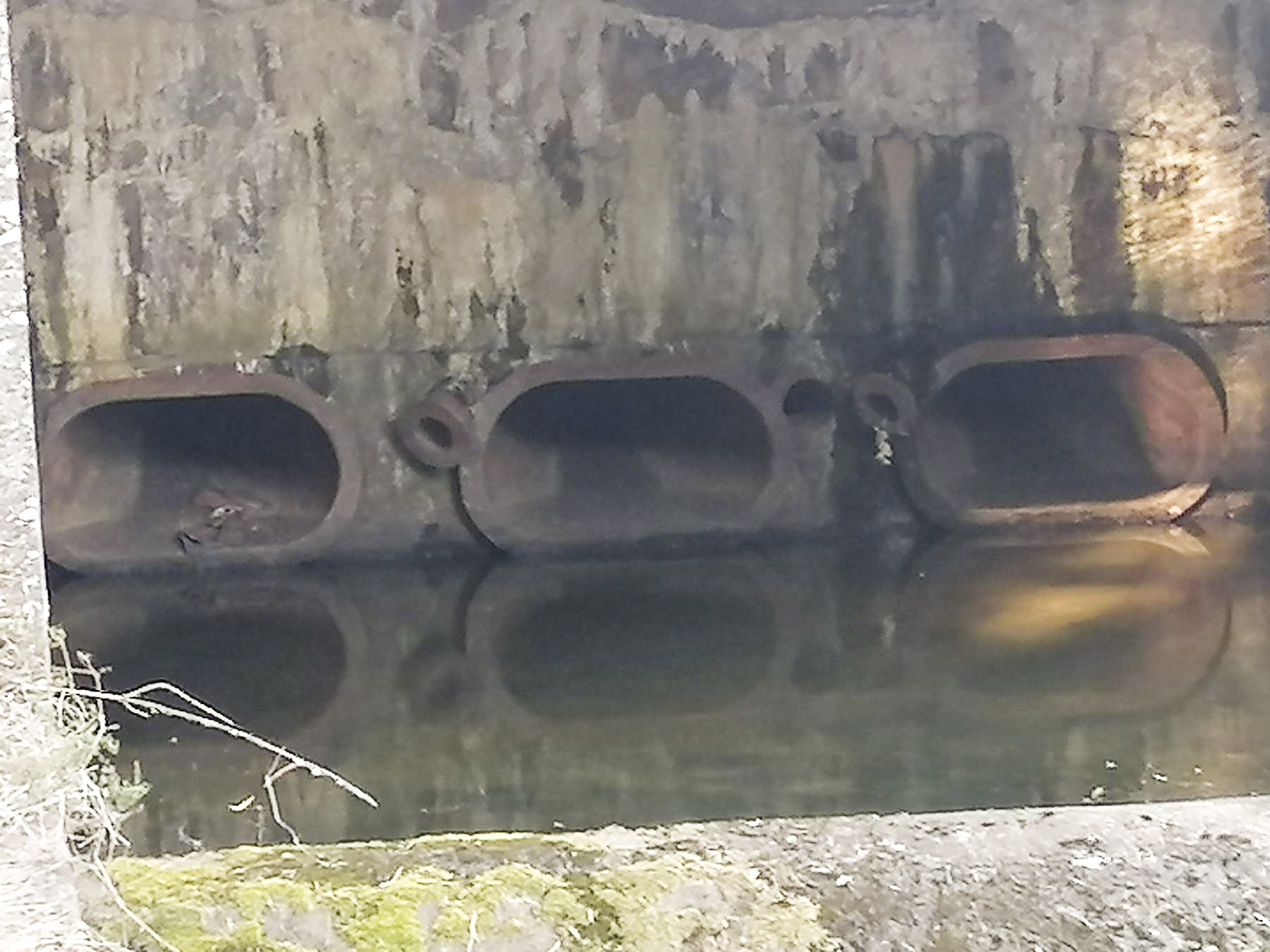 Ligne Maginot - HIRBACH - STANGENWALD (RETENUE DE) - (Inondation défensive) - Vue des sorties de siphons. - DISS D