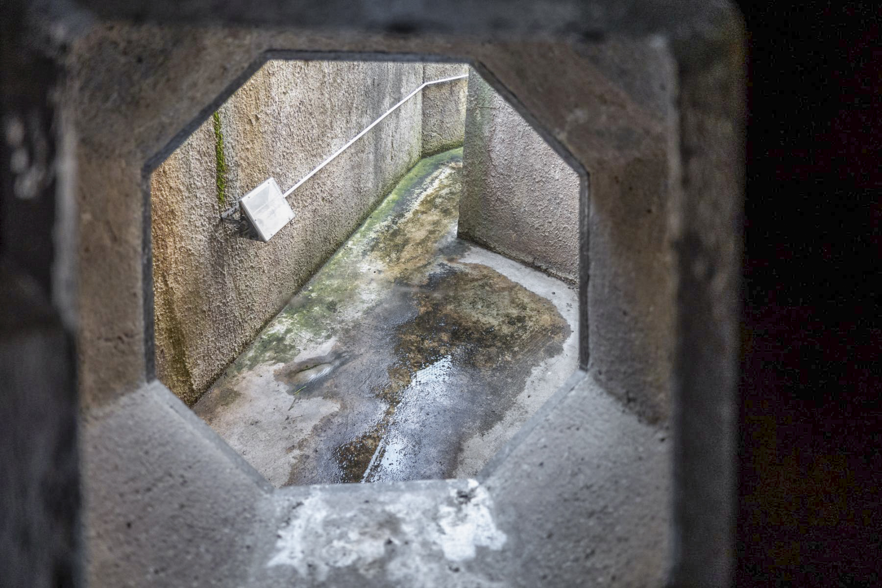Ligne Maginot - OBERROEDERN SUD - RIEFFEL - (Casemate d'infanterie - Double) - Chambre de tir sud
Fossé diamant vu à travers le créneau FM  - Michel Teiten