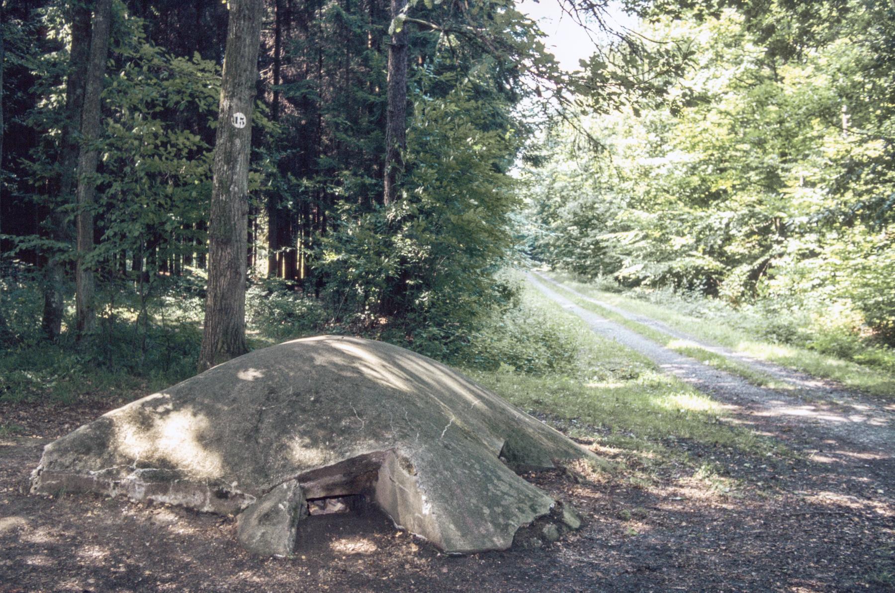 Ligne Maginot - HUEHNERBERG 3 - (Blockhaus pour arme infanterie) -  - MANSUY Michel