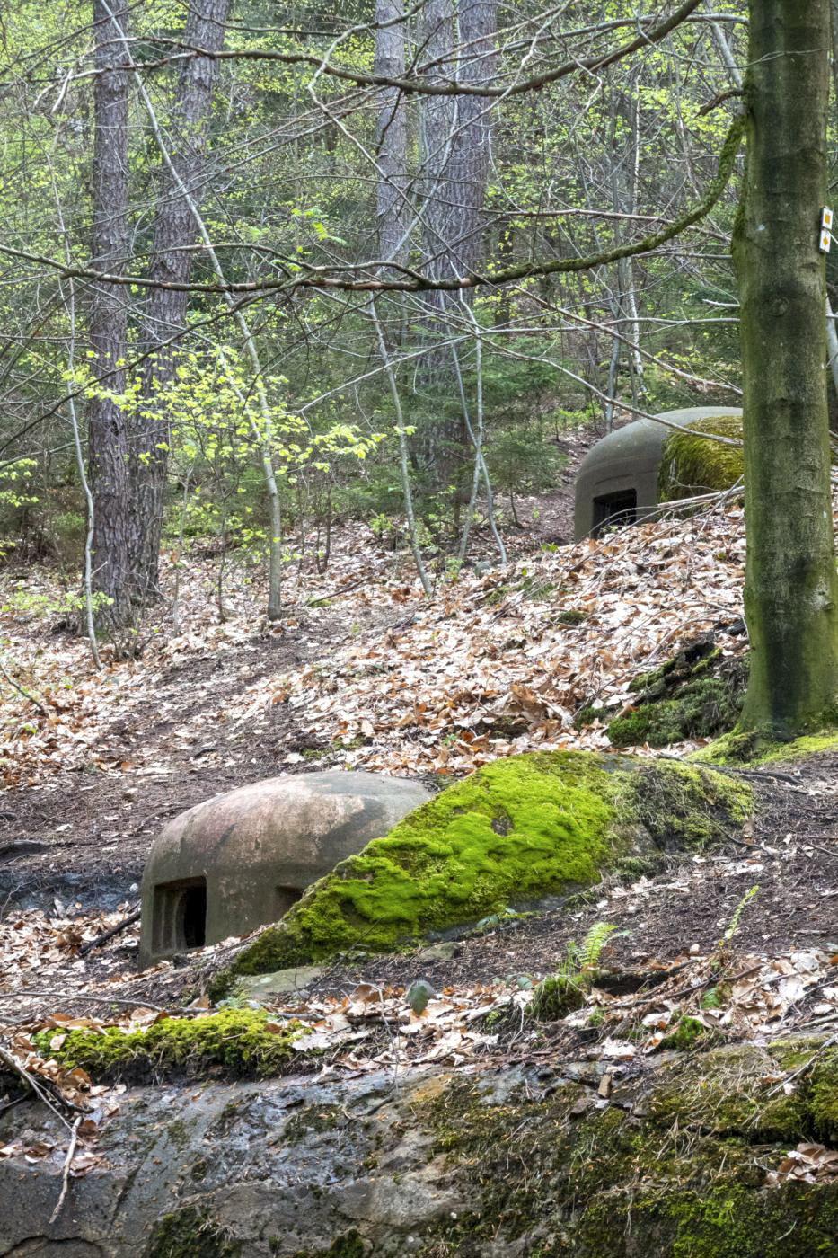 Ligne Maginot - HOCHWALD C2 - (Casemate d'infanterie - Simple) - Cloche JM et cloche GFM - Michel Teiten