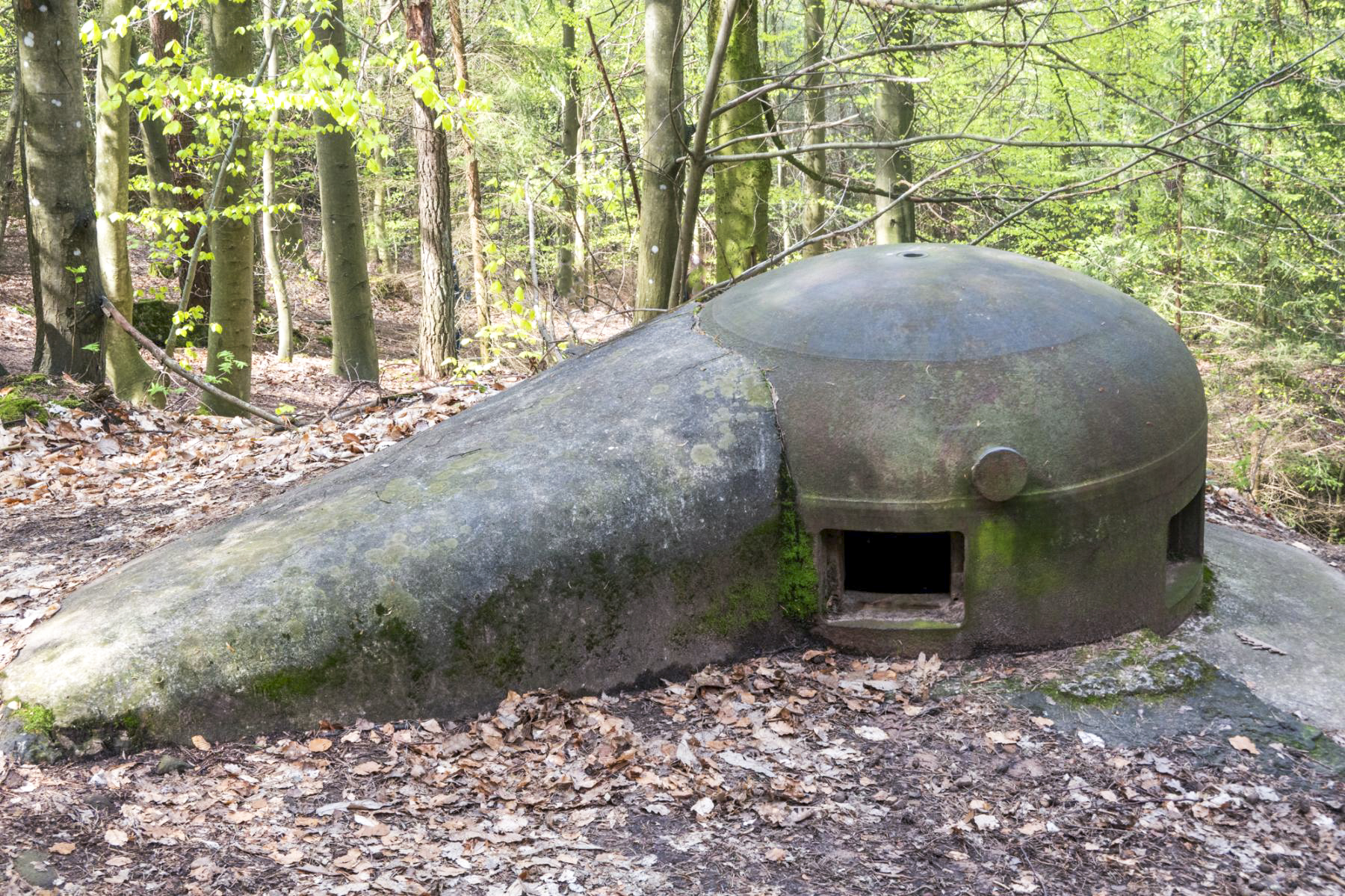 Ligne Maginot - HOCHWALD C2 - (Casemate d'infanterie - Simple) - Cloche GFM - Michel Teiten