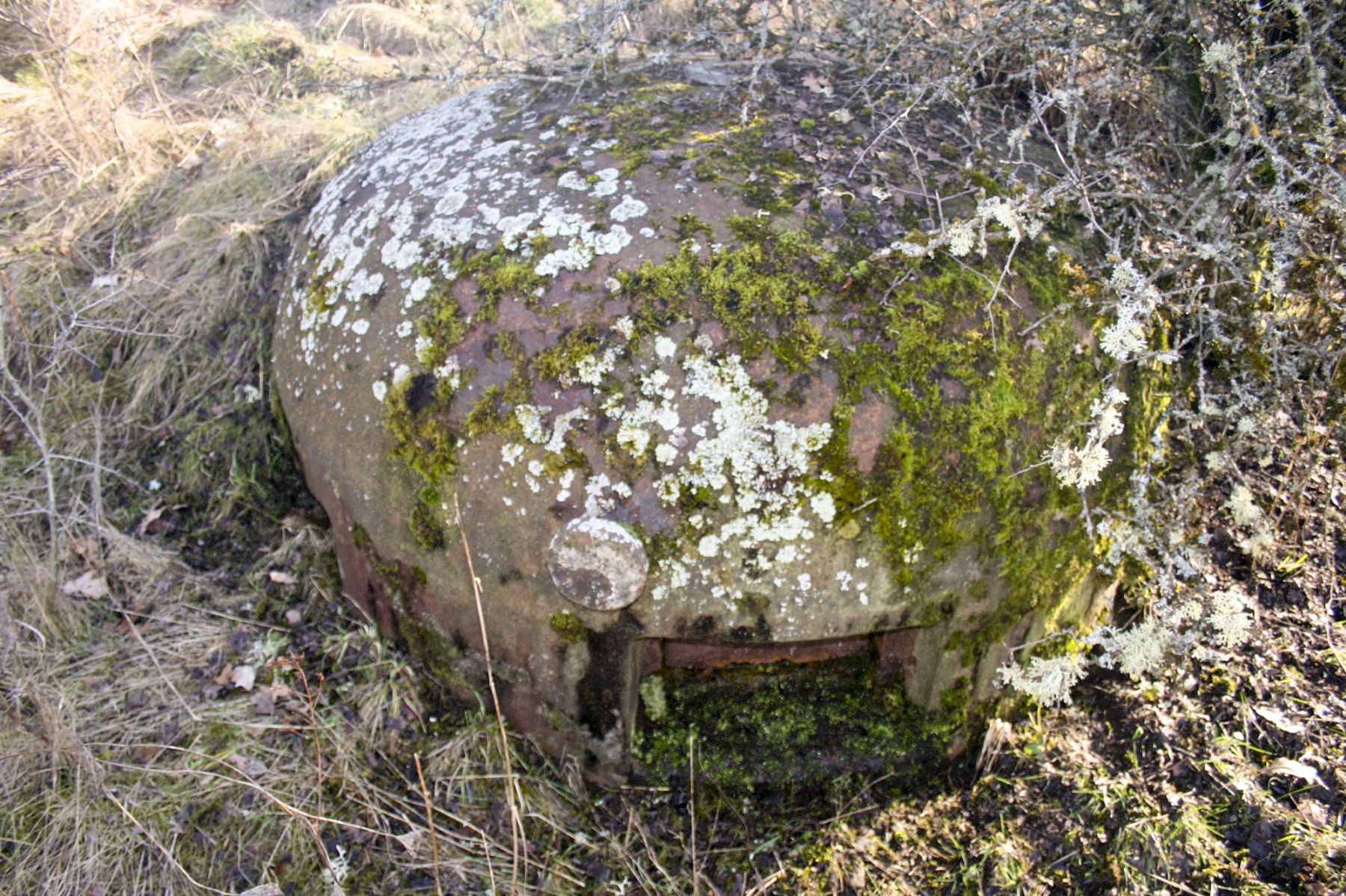 Ligne Maginot - SOETRICH - A11 - (Ouvrage d'artillerie) - Bloc 1
La cloche GFM du bloc disparait sous la végétation - Michel Teiten