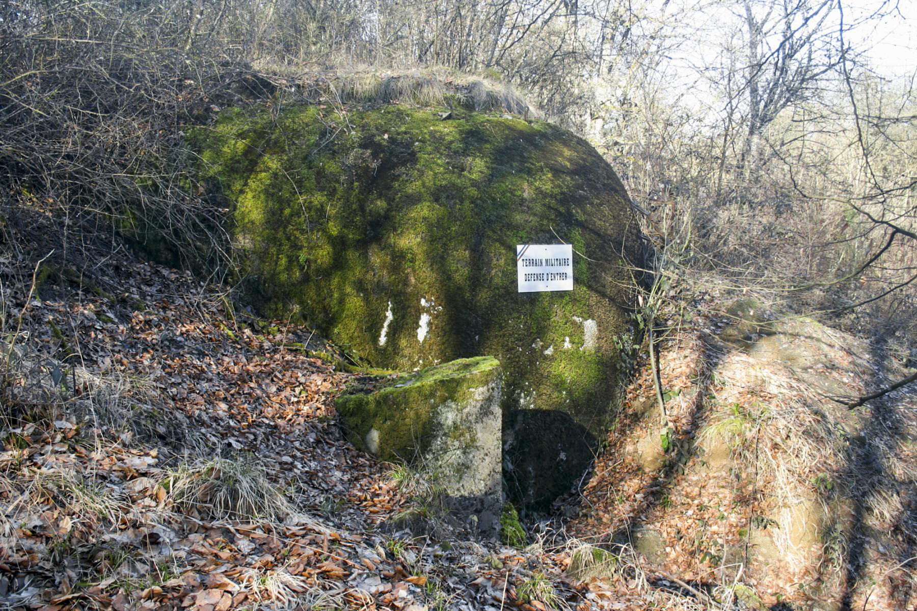 Ligne Maginot - SOETRICH - A11 - (Ouvrage d'artillerie) - Bloc 3
Le bloc dépasse à peine des amas de terre déposés par l'armée - Michel Teiten