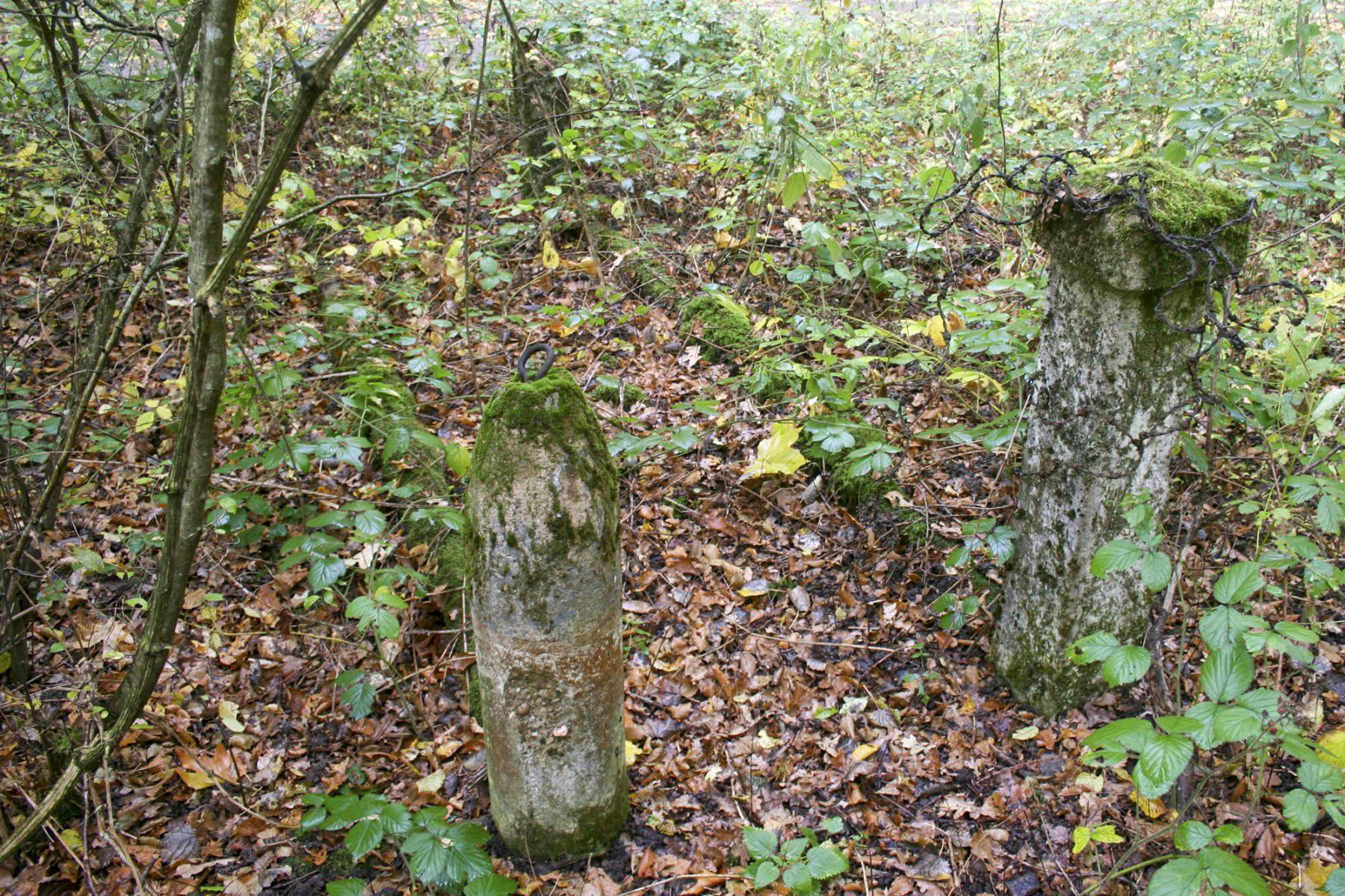 Ligne Maginot - SOETRICH - (Casernement) -  - Michel Teiten