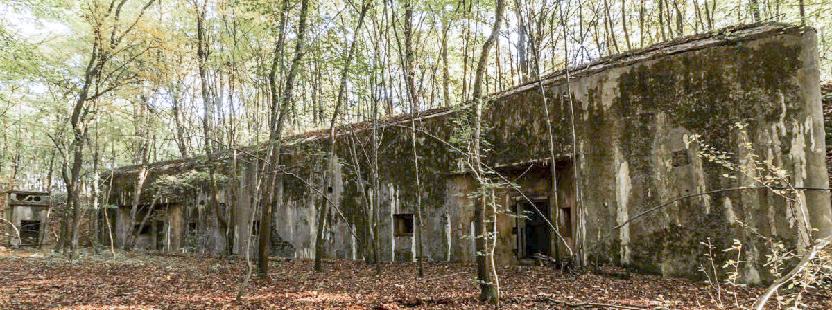 Ligne Maginot - MONT DES WELCHES - X25 - (Abri) - La façade de l'abri