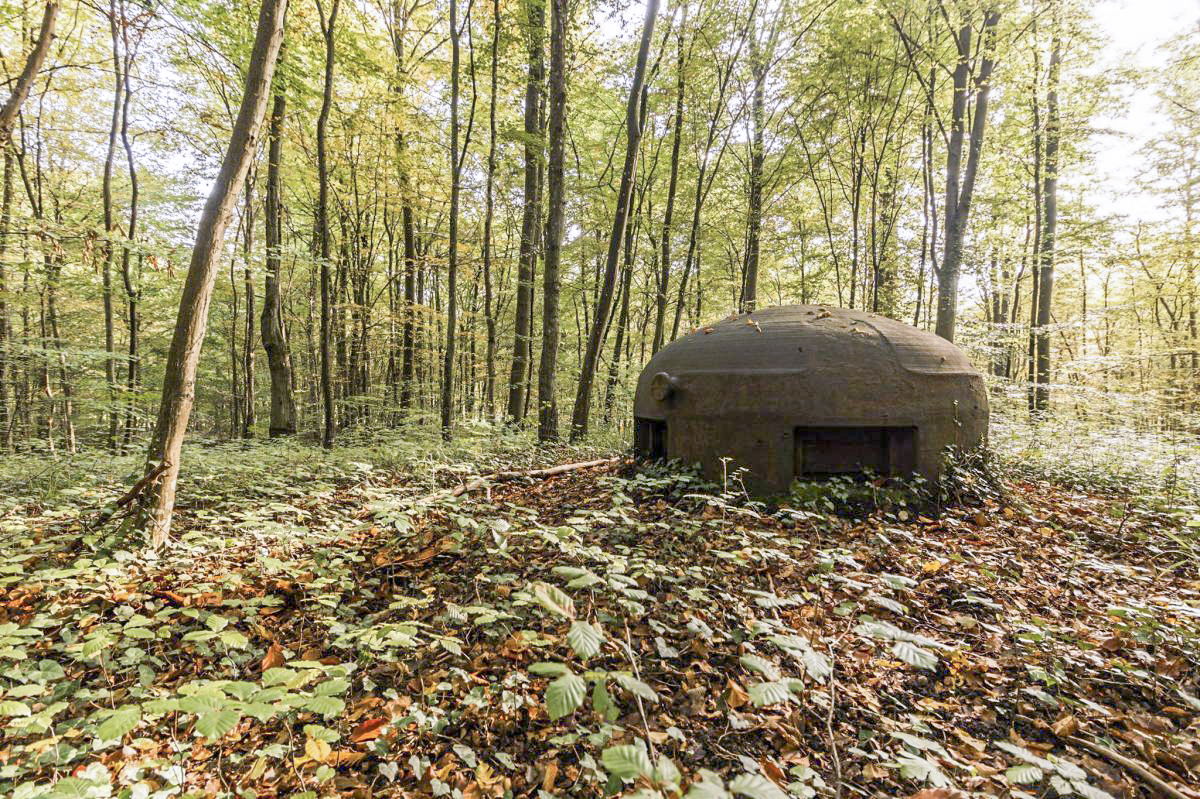 Ligne Maginot - MONT DES WELCHES - X25 - (Abri) - Cloche GFM type A