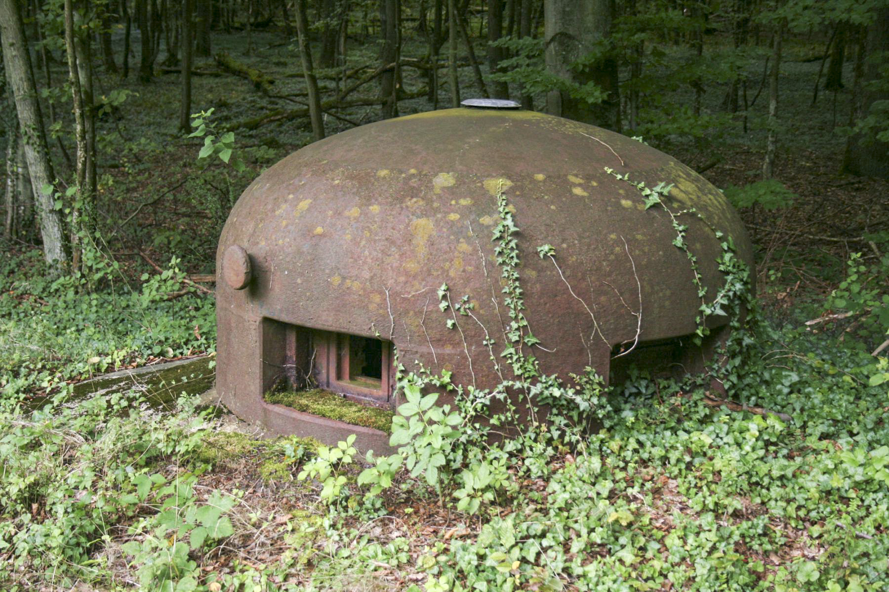 Ligne Maginot - BILMETTE - X26 - (Abri) - Cloche GFM - Michel Teiten