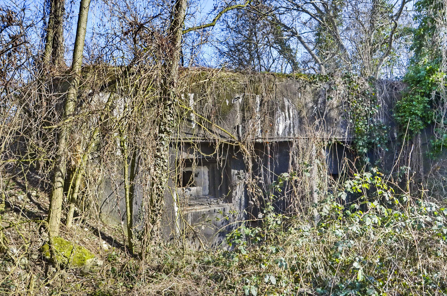 Ligne Maginot - 35/2 - CHALAMPE SUD OUEST - (Casemate d'infanterie - Simple) - Façade sud - D. Froehly