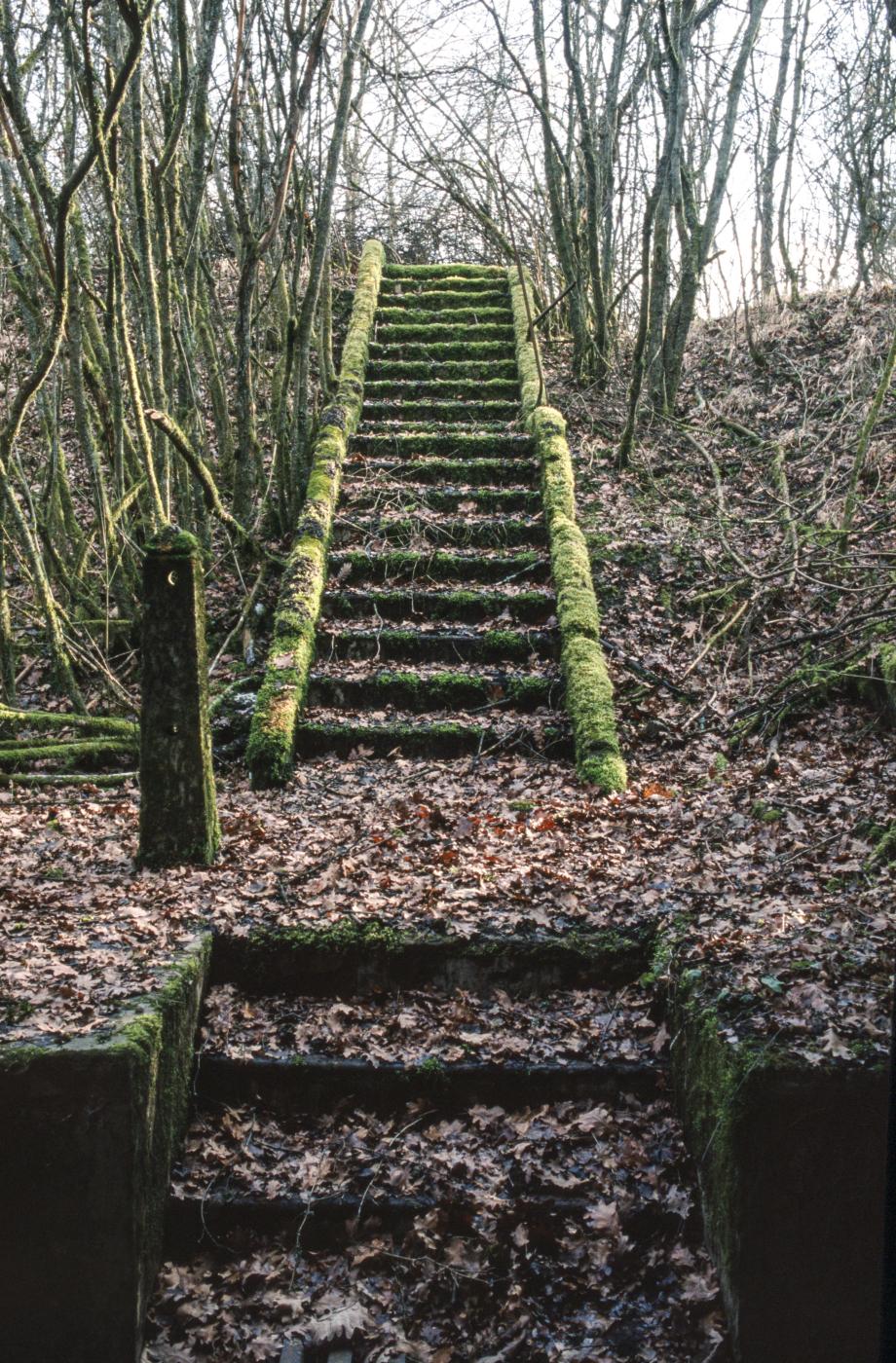 Ligne Maginot - ROUTE DU LUXEMBOURG - O10 - (Observatoire d'artillerie) - L'escalier vers l'entrée - MANSUY Michel
