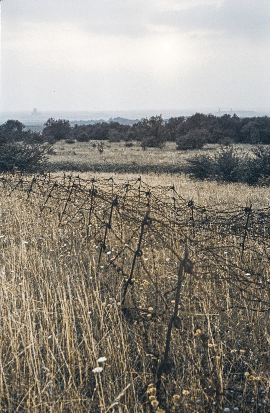 Ligne Maginot - ROCHONVILLERS - A8 - (Ouvrage d'artillerie) - Réseau de barbelés très dense - MANSUY Michel