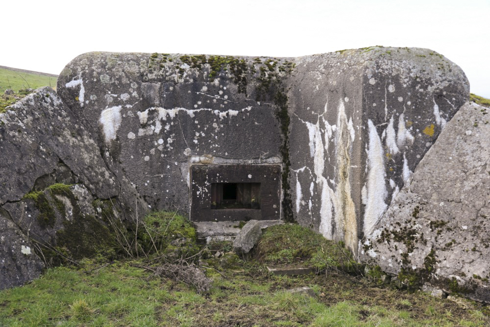 Ligne Maginot - BB31-C - KAPPELPARK SUD - DENISE - (Blockhaus pour arme infanterie) - 