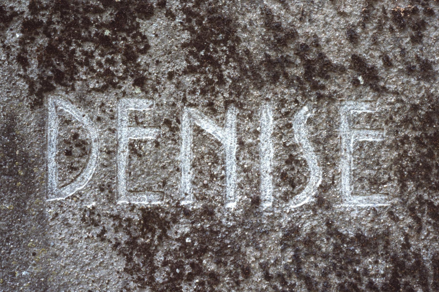 Ligne Maginot - BB31-C - KAPPELPARK SUD - DENISE - (Blockhaus pour arme infanterie) -  - MANSUY Michel