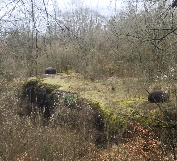 Ligne Maginot - METRICH - A17 - (Ouvrage d'artillerie) - Bloc 1 