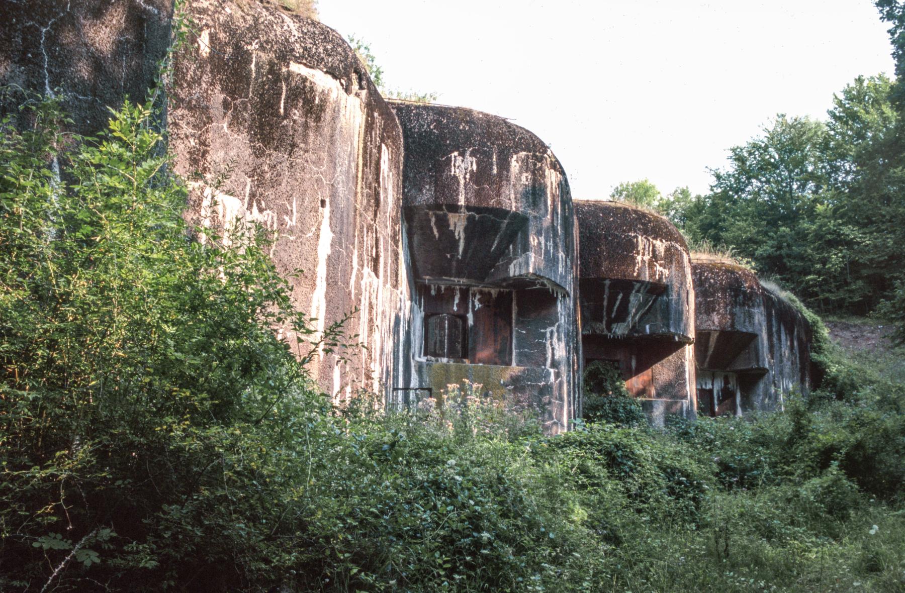 Ligne Maginot - METRICH - A17 - (Ouvrage d'artillerie) - Bloc 1
Les embrasures après le remblaiement du fossé - MANSUY Michel