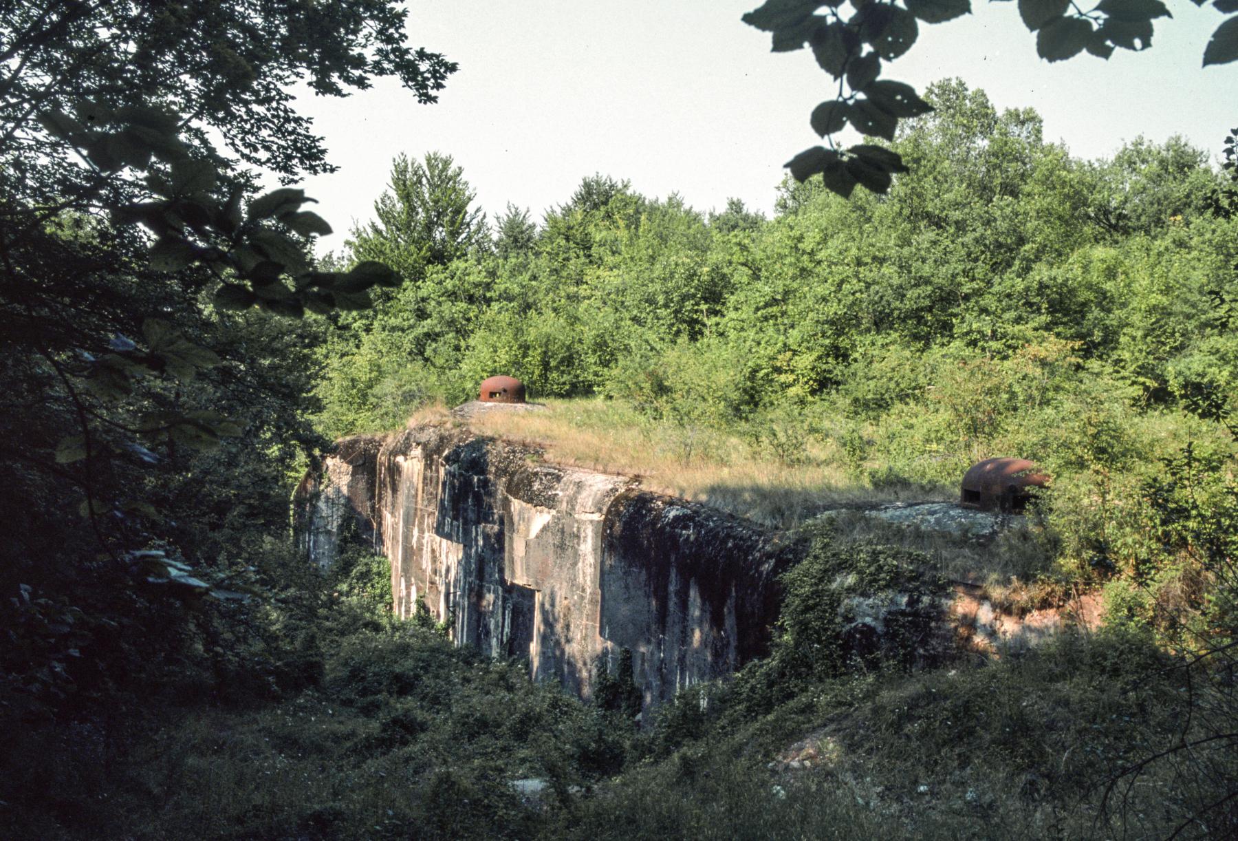 Ligne Maginot - METRICH - A17 - (Ouvrage d'artillerie) - Bloc 1
La façade après le remblaiement du fossé - MANSUY Michel