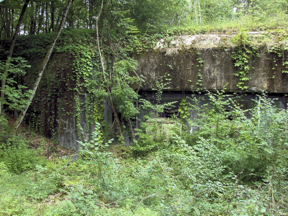 Ligne Maginot - METRICH - A17 - (Ouvrage d'artillerie) - Bloc 15
Vue d'ensemble.