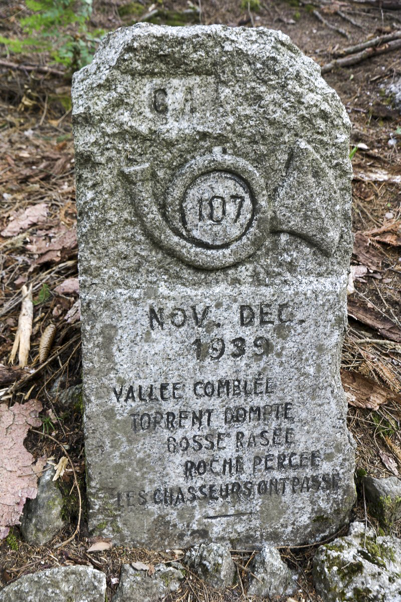 Ligne Maginot - O7-7BIS - SAXEL SUD - (Ouvrage d'infanterie) - A proximité, le long de la piste militaire, un monument - Alain Perouffe