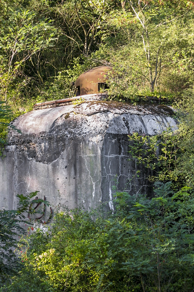 Ligne Maginot - METRICH - A17 - (Ouvrage d'artillerie) - Entrée des hommes
L'une des deux cloches GFM émerge encore au-dessus des gravas qui recouvrent l'entrée