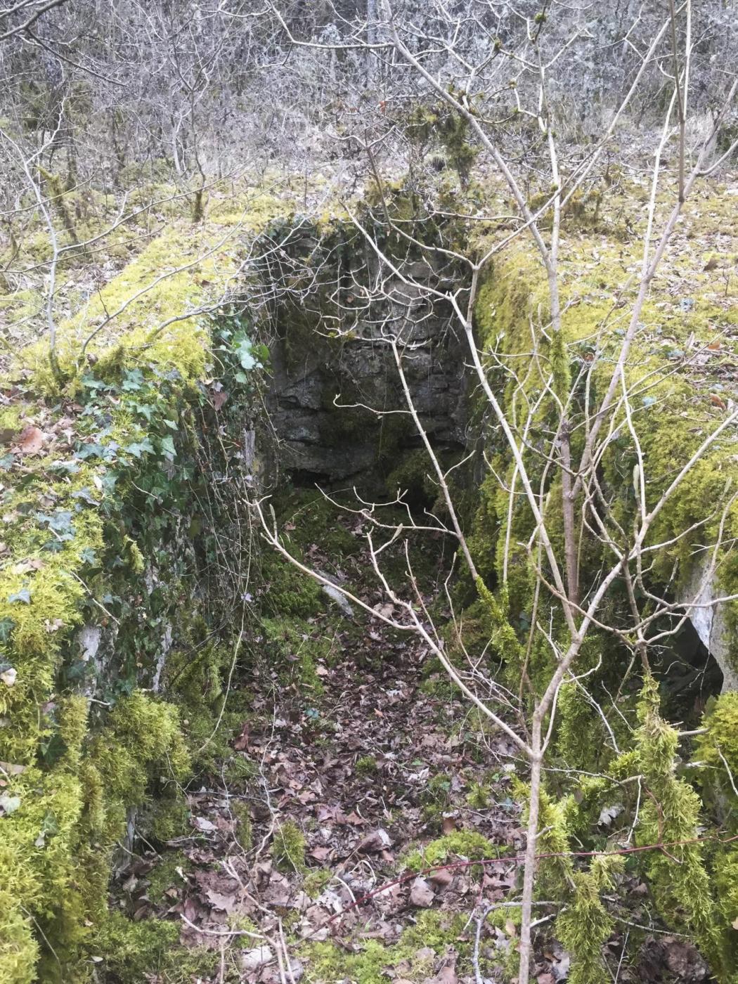 Ligne Maginot - METRICH - (Casernement) - Ruines du casernement
Les fondations d'une baraque et sa cave