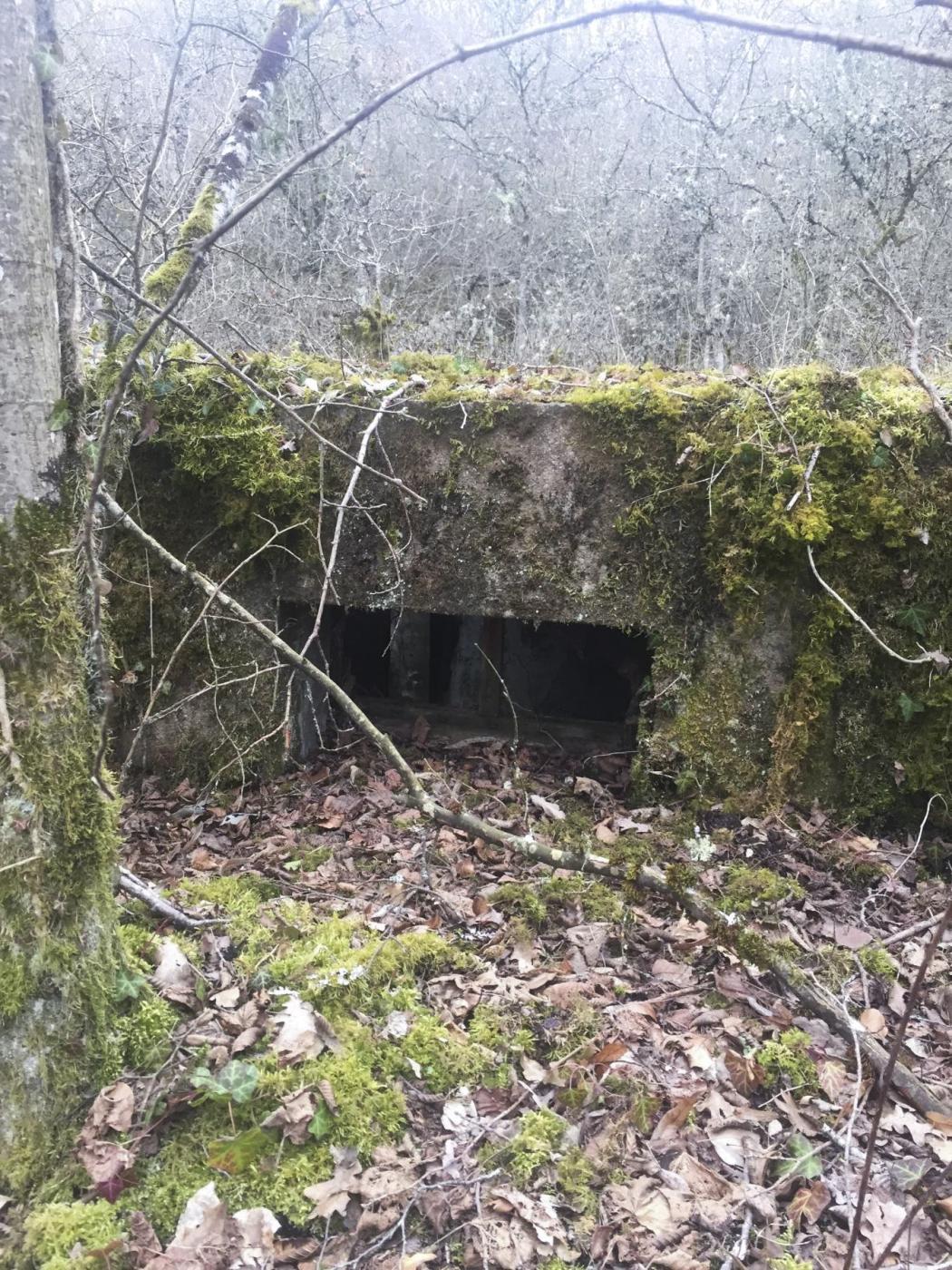 Ligne Maginot - METRICH - (Casernement) - Ruines du casernement
Les fondations d'une baraque et sa cave
