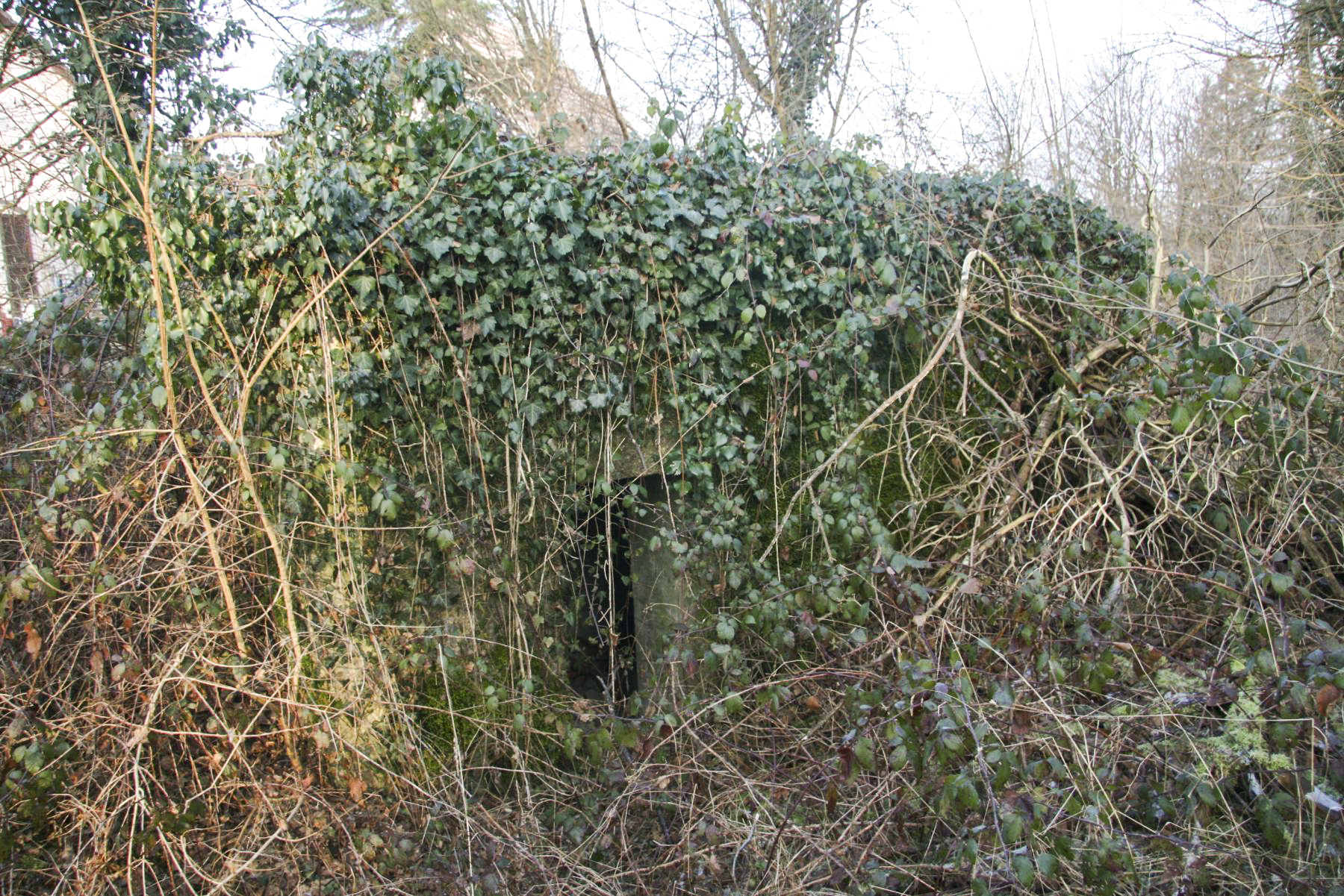 Ligne Maginot - KEMBS SCHAEFERHOF 1 - (Blockhaus pour arme infanterie) - Le bloc bien envahi. Face arrière - Alain Perouffe