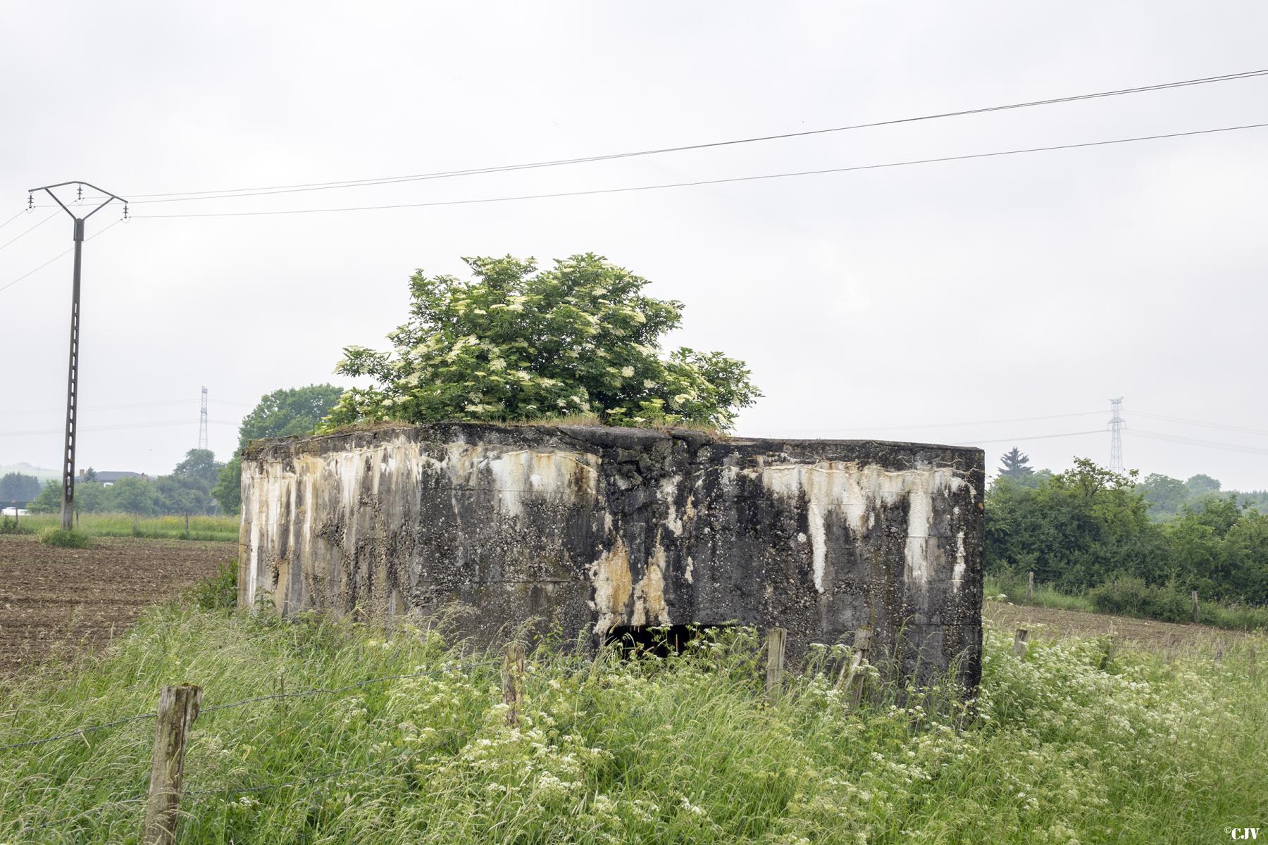 Ligne Maginot - MAXSTADT 3 - (Blockhaus pour arme infanterie) -  - Lia VERMEULEN