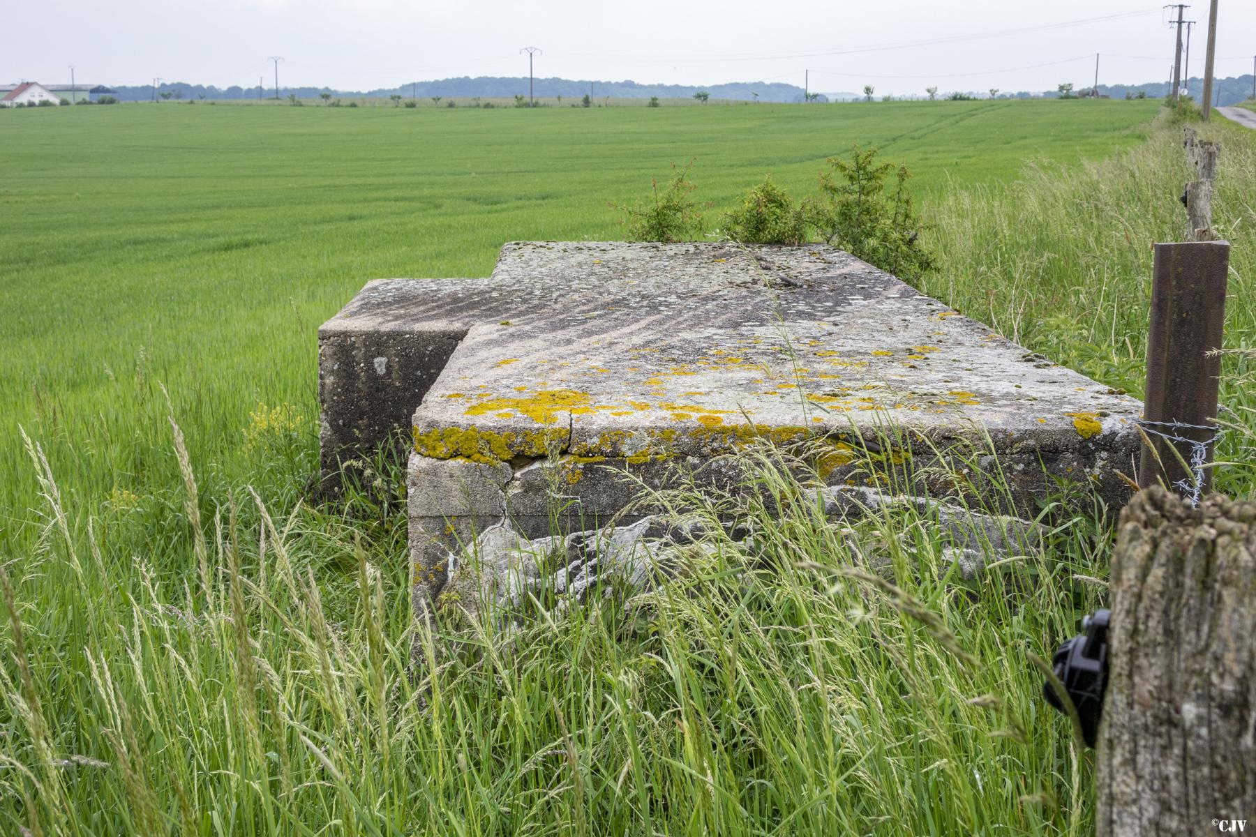 Ligne Maginot - MAXSTADT 5 - (Blockhaus pour arme infanterie) -  - Lia VERMEULEN