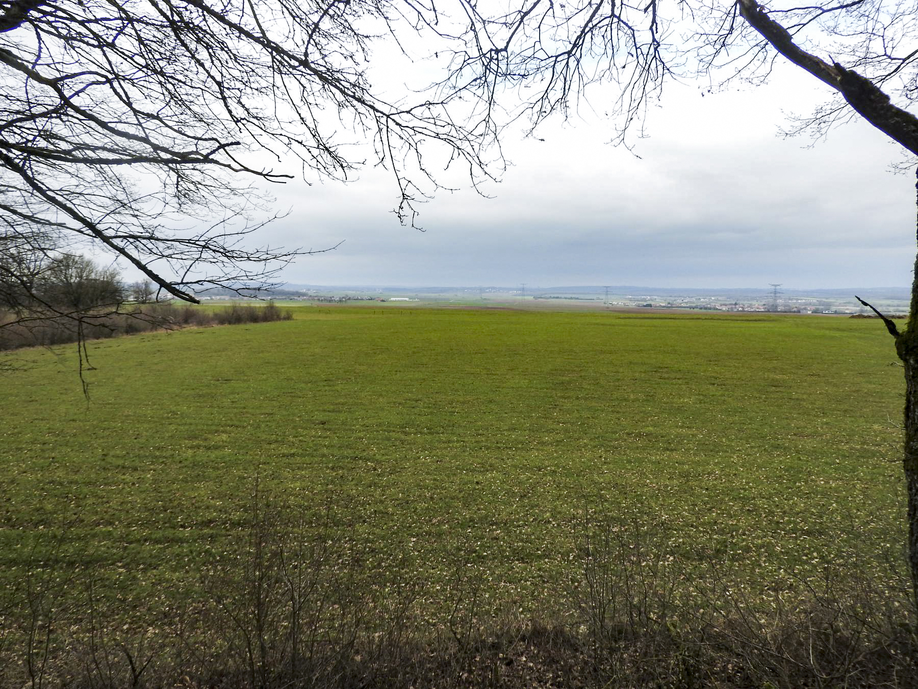 Ligne Maginot - MOLSCHPRICH NORD - (Blockhaus pour arme infanterie) - La zone de tir. - STENGER Mathieu