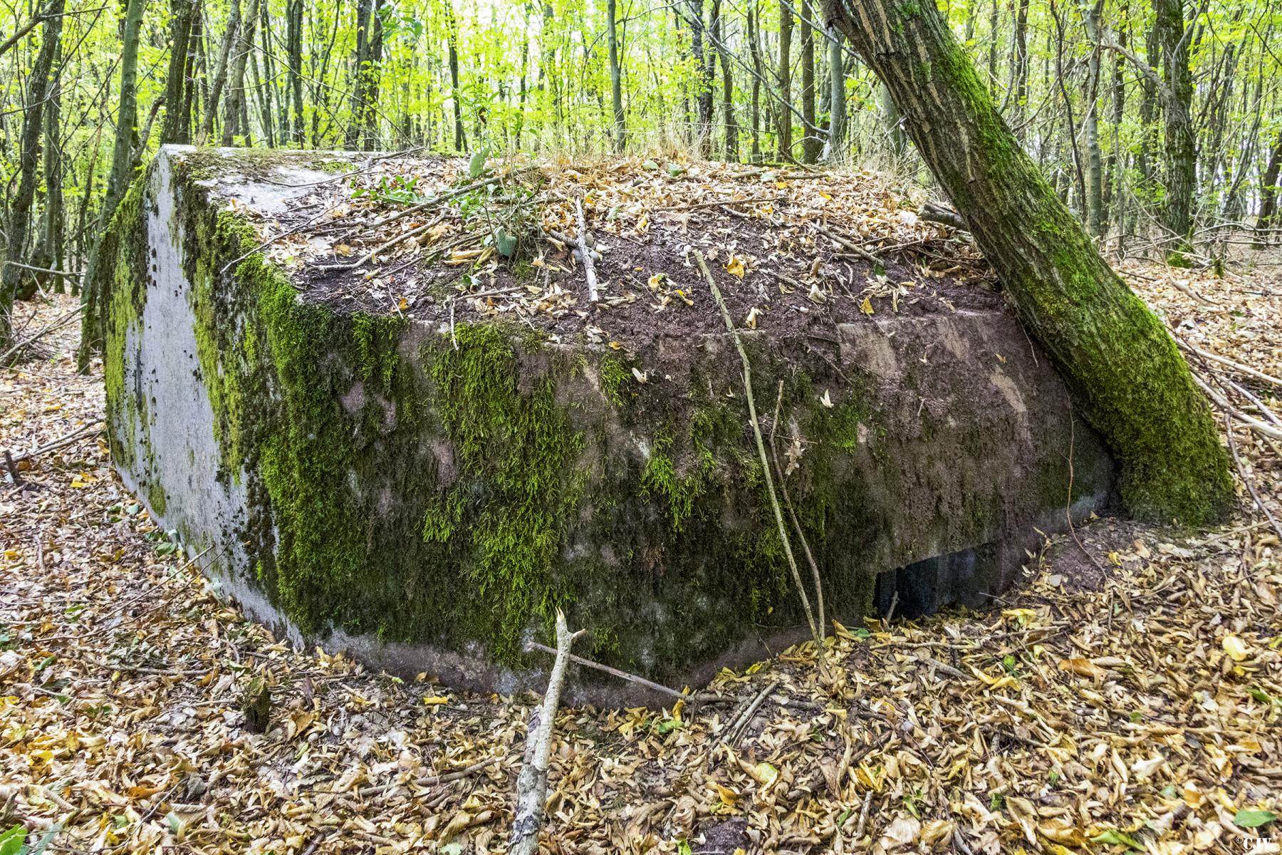 Ligne Maginot - MITTELSWALD 2 - (Blockhaus pour arme infanterie) -               