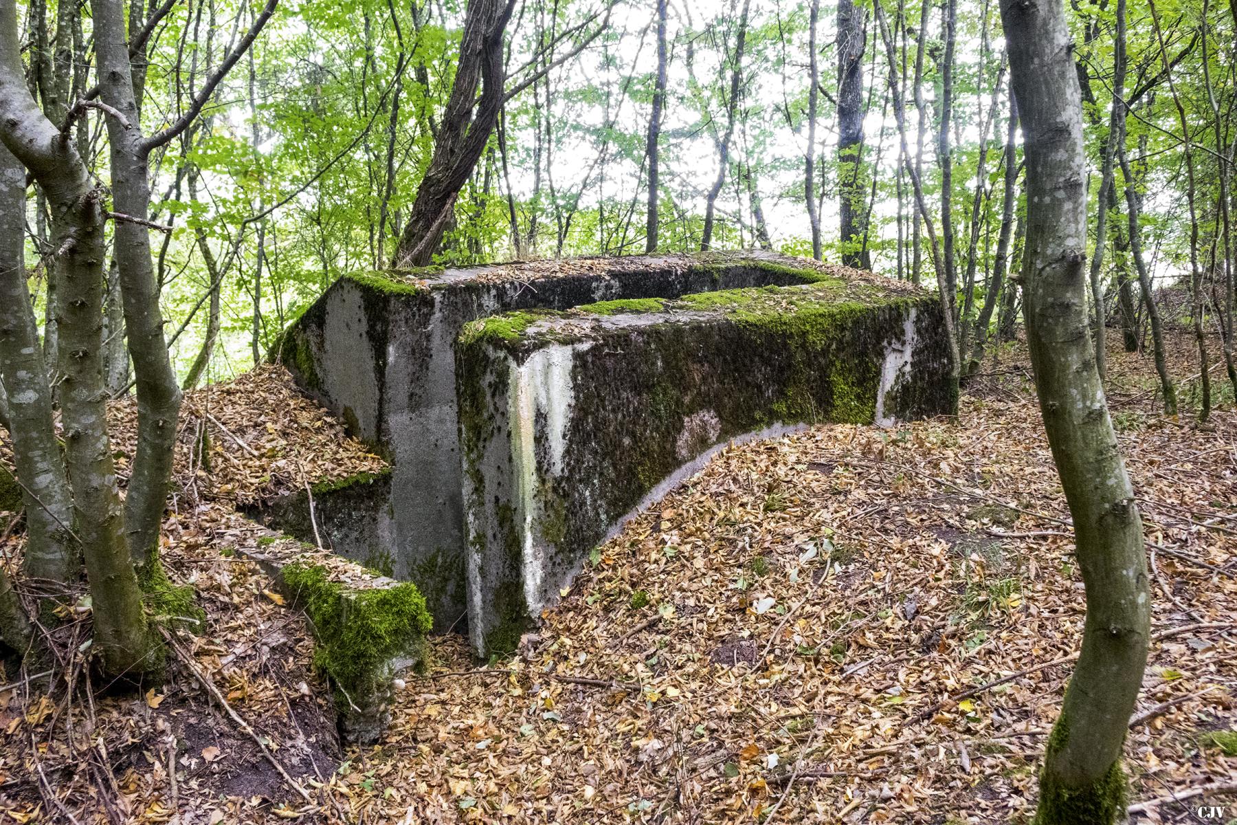 Ligne Maginot - MITTELSWALD 2 - (Blockhaus pour arme infanterie) -                