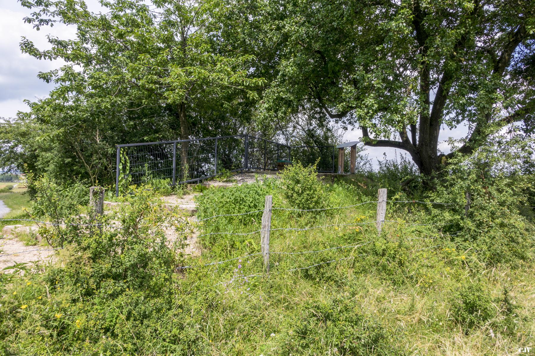 Ligne Maginot - REBBERG 2 - (Observatoire indeterminé) - Toujours un poste d'observation                                    - Lia VERMEULEN
