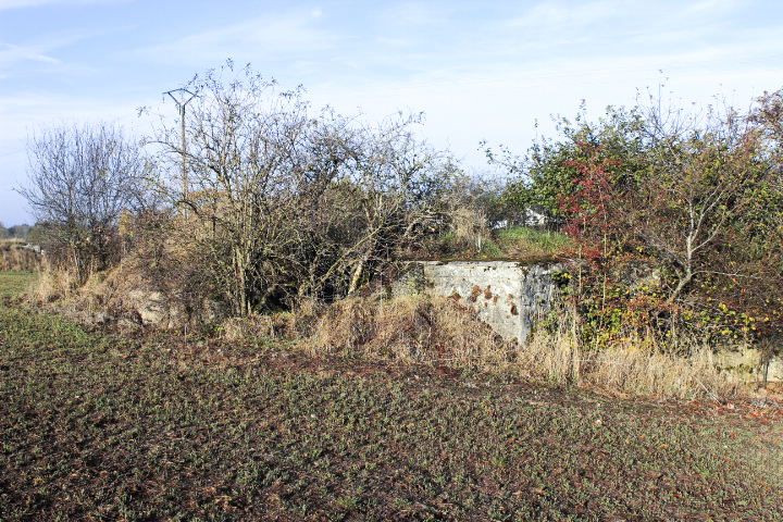 Ligne Maginot - RODENBERG 1 - (Blockhaus de type indéterminé) -          