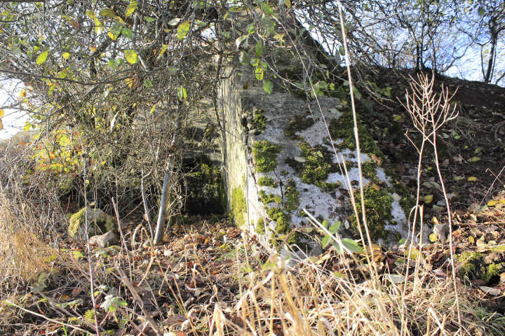 Ligne Maginot - RODENBERG 1 - (Blockhaus de type indéterminé) -            - JIN JAC