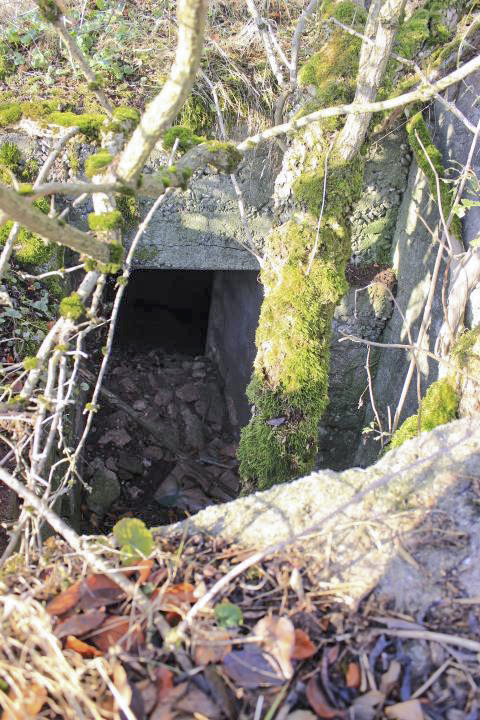 Ligne Maginot - RODENBERG 1 - (Blockhaus de type indéterminé) - 