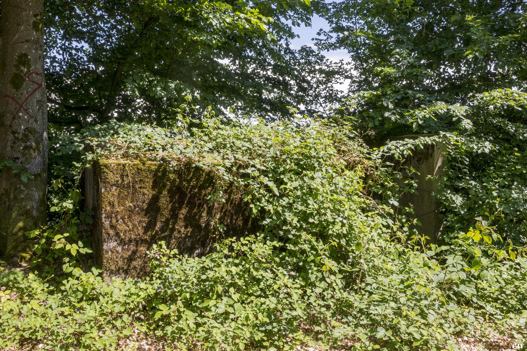 Ligne Maginot - SCHEIDWALD 8 - (Blockhaus pour arme infanterie) -                       