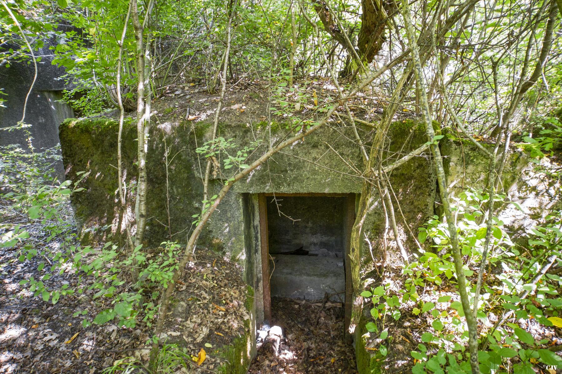Ligne Maginot - SCHIRMENSTUDEN 2 - (Blockhaus de type indéterminé) -                   - Lia VERMEULEN