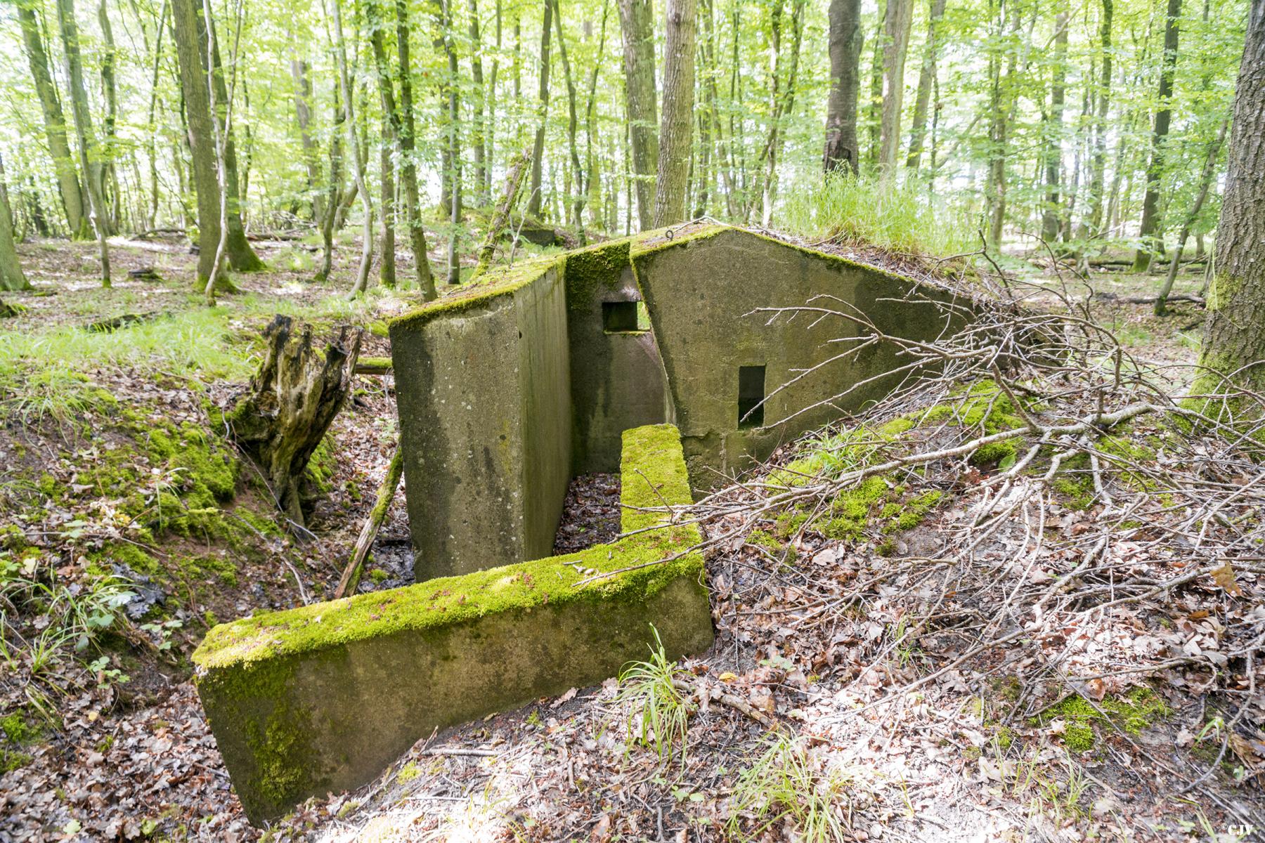Ligne Maginot - TAUBRUNNENWALD 1 - (Blockhaus pour arme infanterie) - 