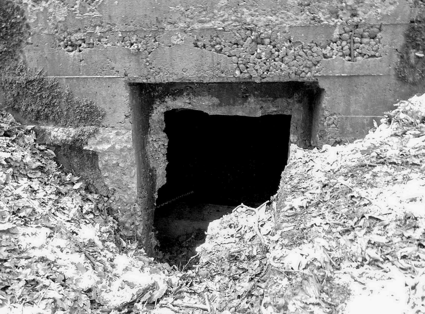 Ligne Maginot - TAUBRUNNENWALD 3 - (Abri) -  - Sylvie Laure LAMBERT