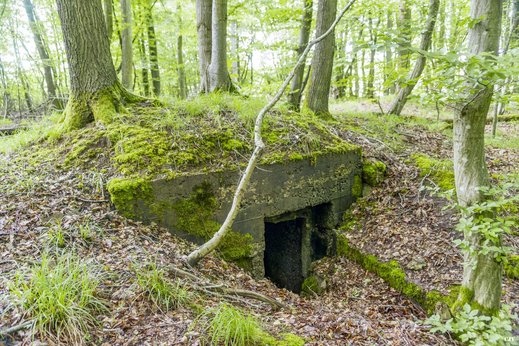 Ligne Maginot - TAUBRUNNENWALD 3 - (Abri) -             