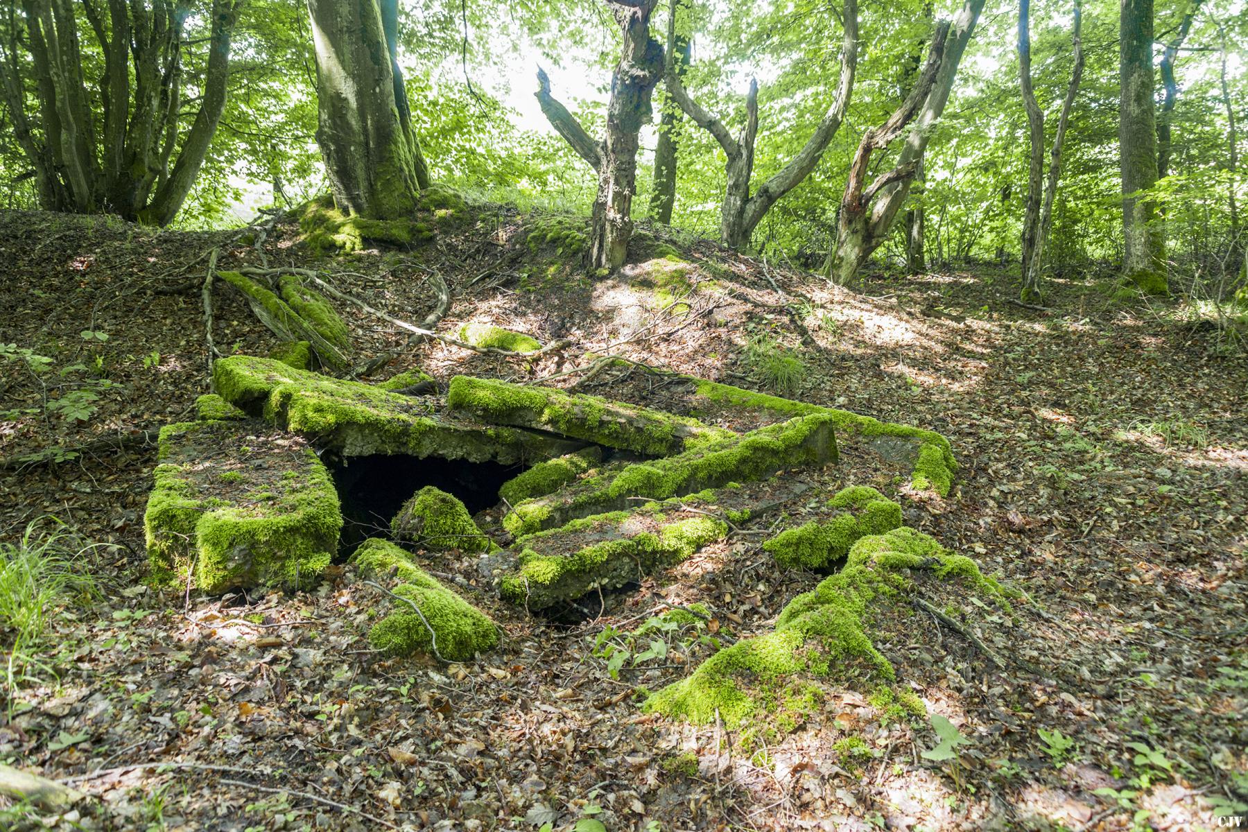 Ligne Maginot - TAUBRUNNENWALD 8 - (Blockhaus de type indeterminé) -                        
