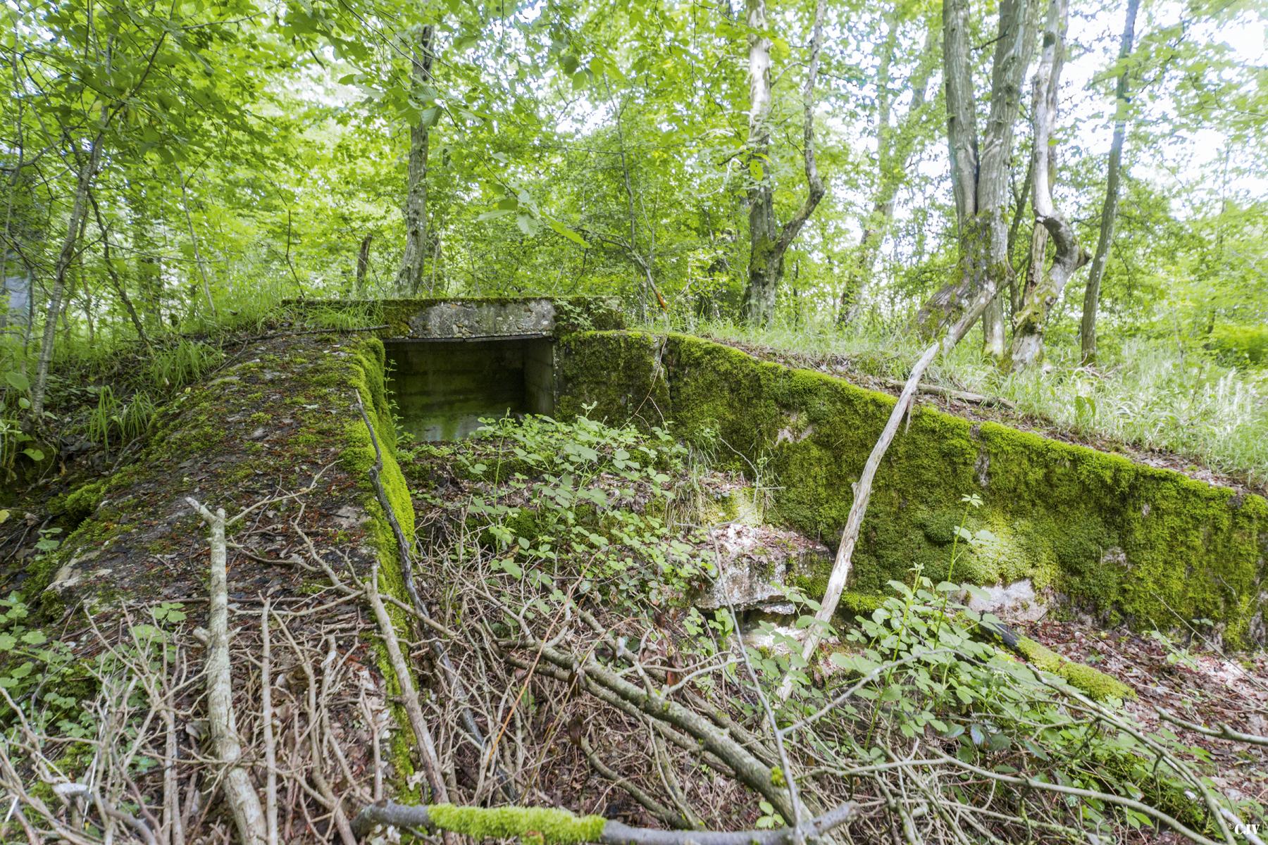 Ligne Maginot - TAUBRUNNENWALD 12 - FT - (Blockhaus pour arme infanterie) - 