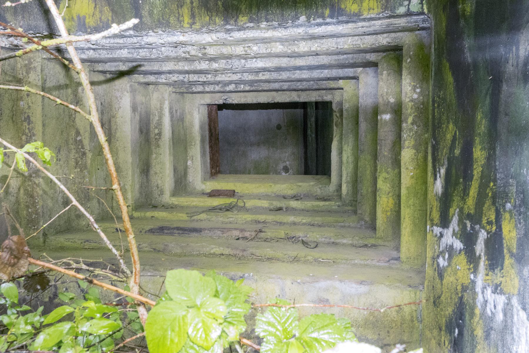 Ligne Maginot - C5B - WEIHER 2 - (Blockhaus pour canon) - Créneau droite - Lia VERMEULEN
