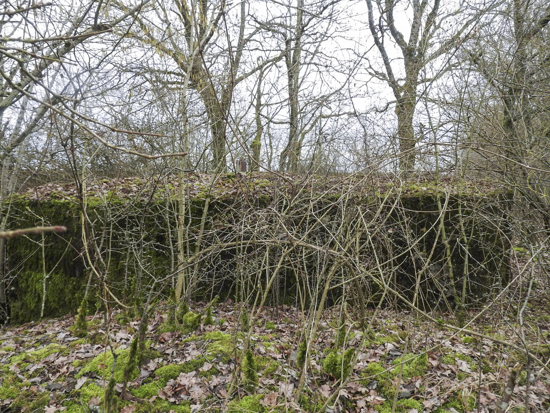 Ligne Maginot - VALETTE NORD OUEST - (Blockhaus pour arme infanterie) -  - STENGER Mathieu