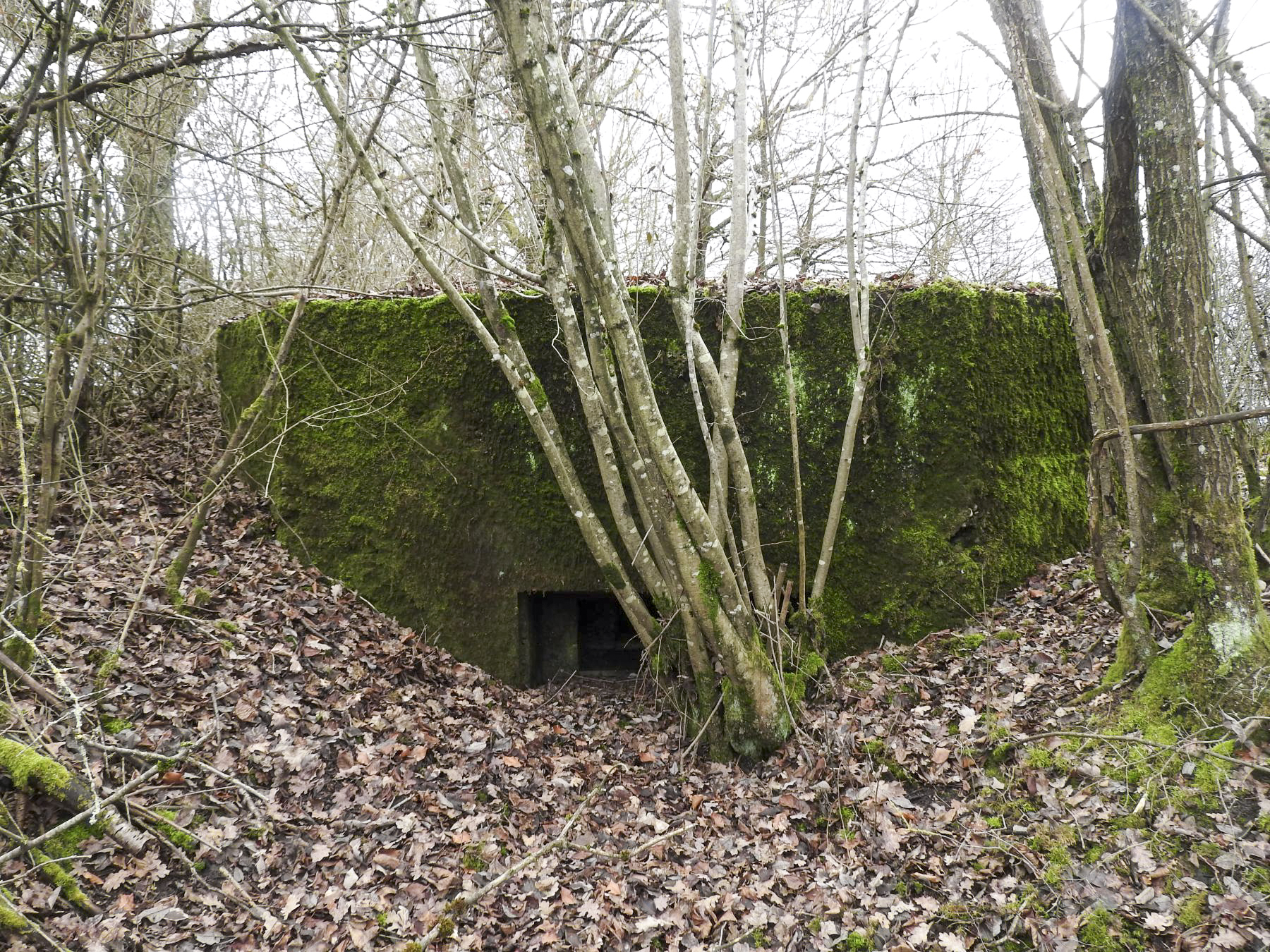 Ligne Maginot - VALETTE NORD OUEST - (Blockhaus pour arme infanterie) - La façade de tir vers l'est. - STENGER Mathieu