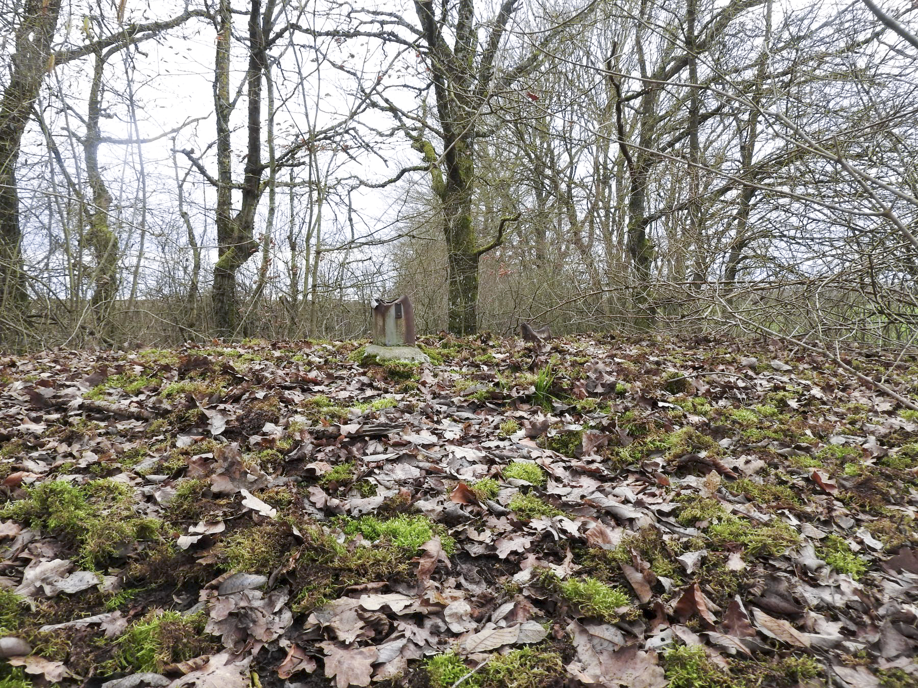 Ligne Maginot - VALETTE NORD OUEST - (Blockhaus pour arme infanterie) - La dalle du blockhaus avec les restes des cheminées d'aération. - STENGER Mathieu