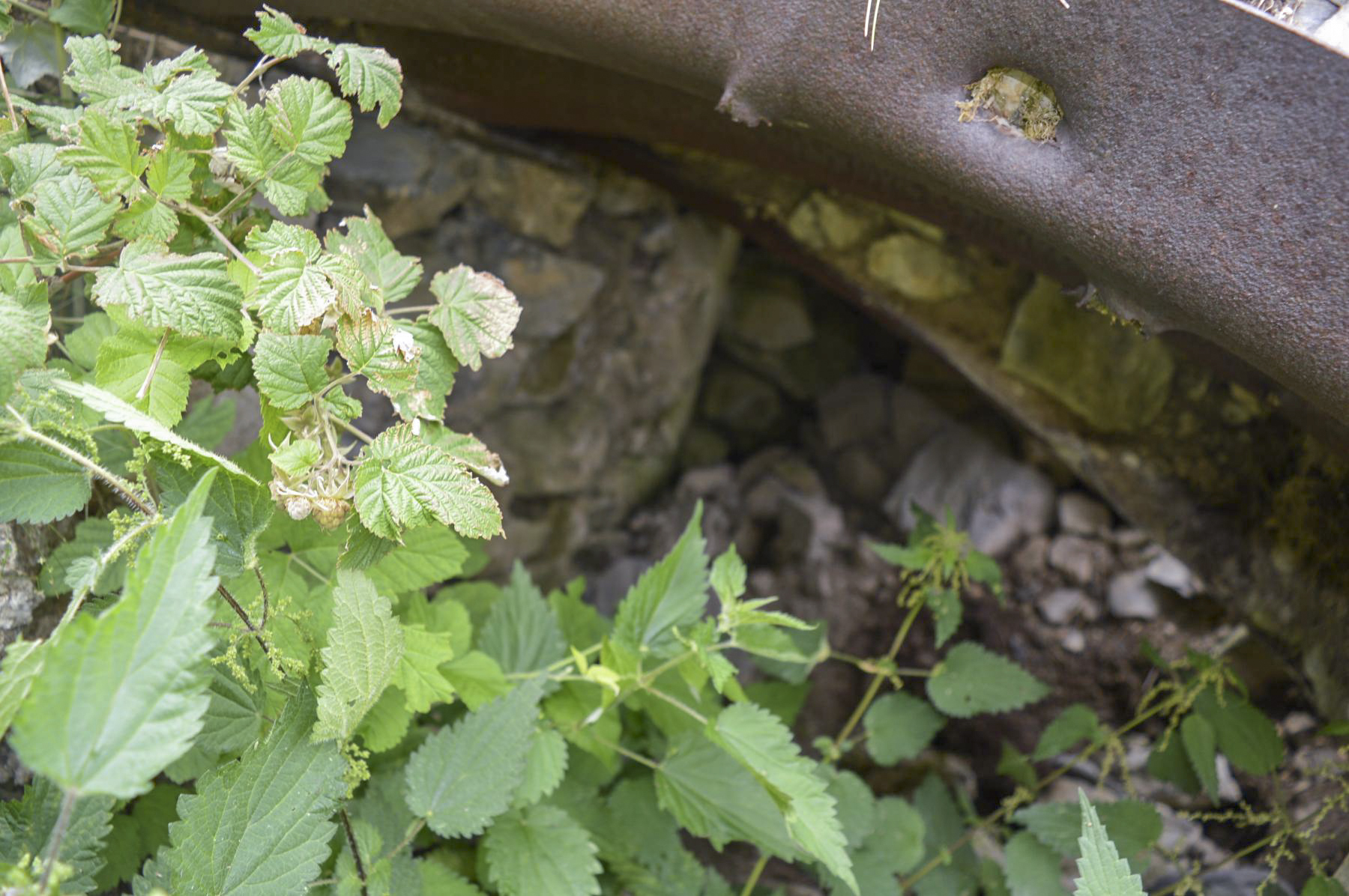 Ligne Maginot - COL DE RAUS (CR) - (Ouvrage d'infanterie) - Tranchée couverte T2 - PRASIL Michal