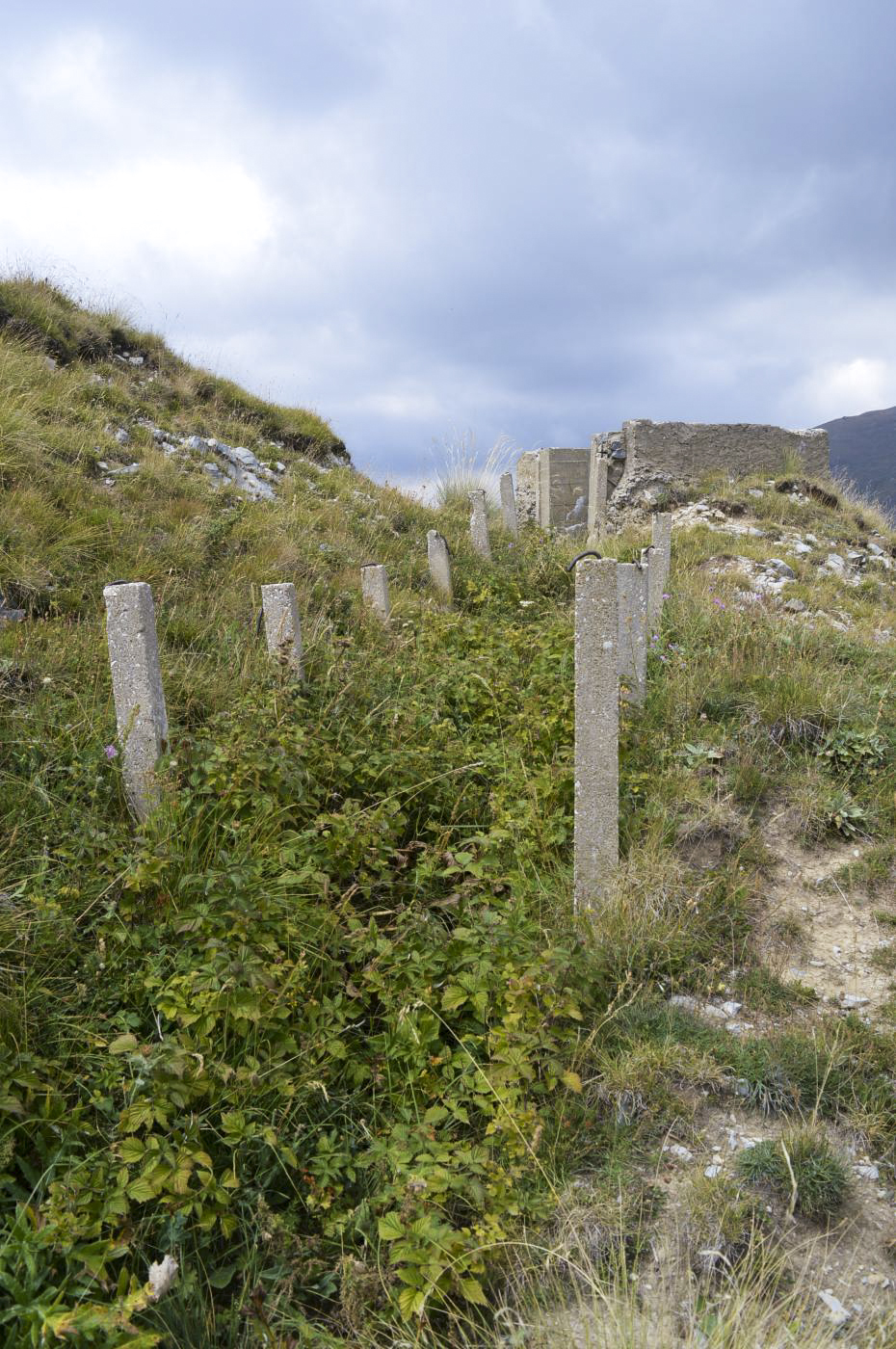 Ligne Maginot - COL DE RAUS (CR) - (Ouvrage d'infanterie) - Tranchée renforcée T1 vers cuve C1 - PRASIL Michal