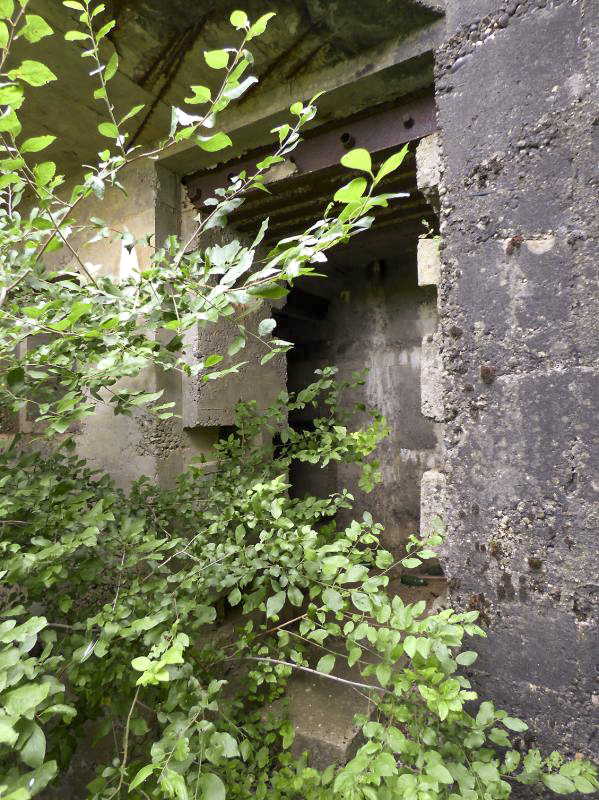 Ligne Maginot - CEZF-217 - BELLE FONTAINE - (Blockhaus lourd type STG / STG-FCR - Simple) - 